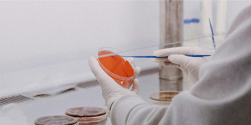 告別人工誤差：這款微生物細胞計數儀，用亞甲基藍原理算準酵母活率