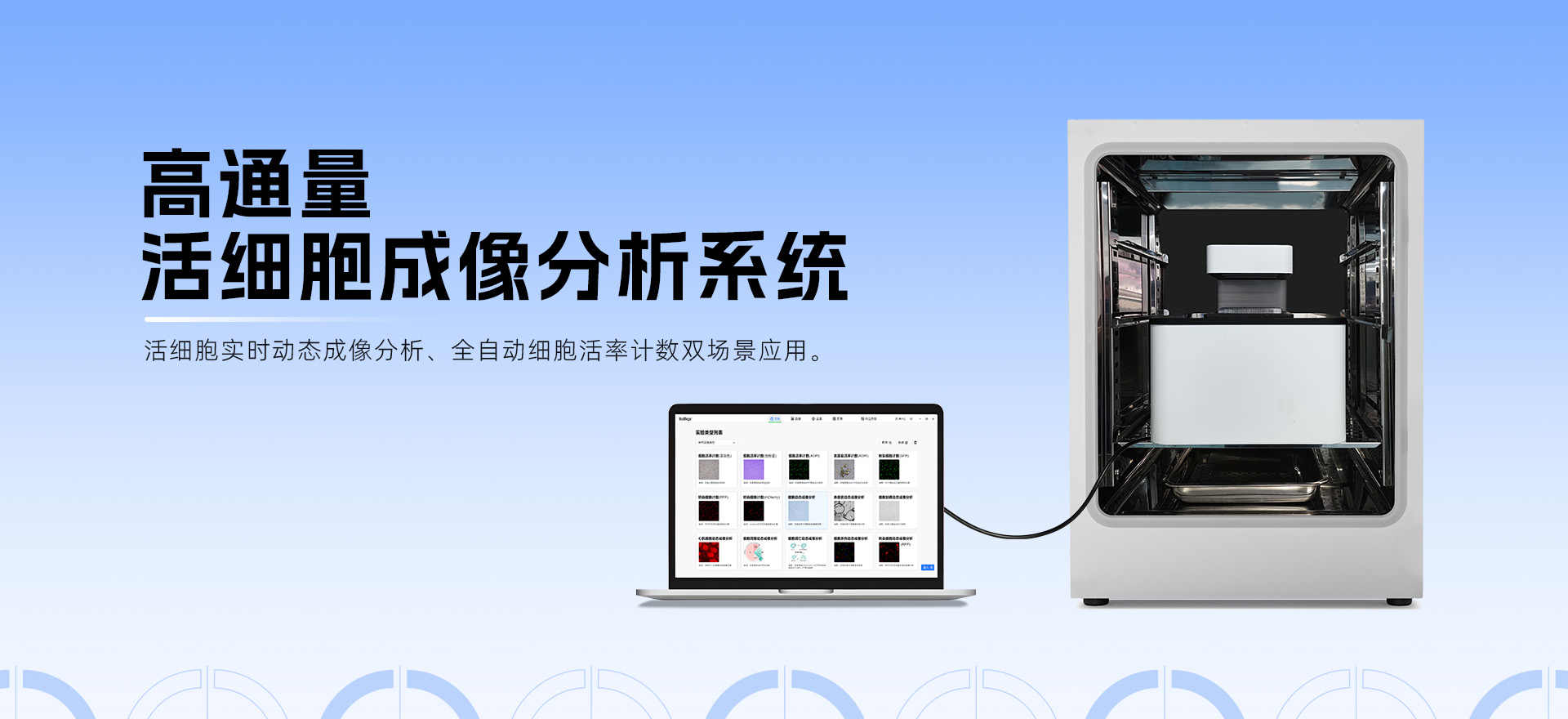 突破細胞殺傷實驗瓶頸！高通量活細胞成像分析系統的應用
