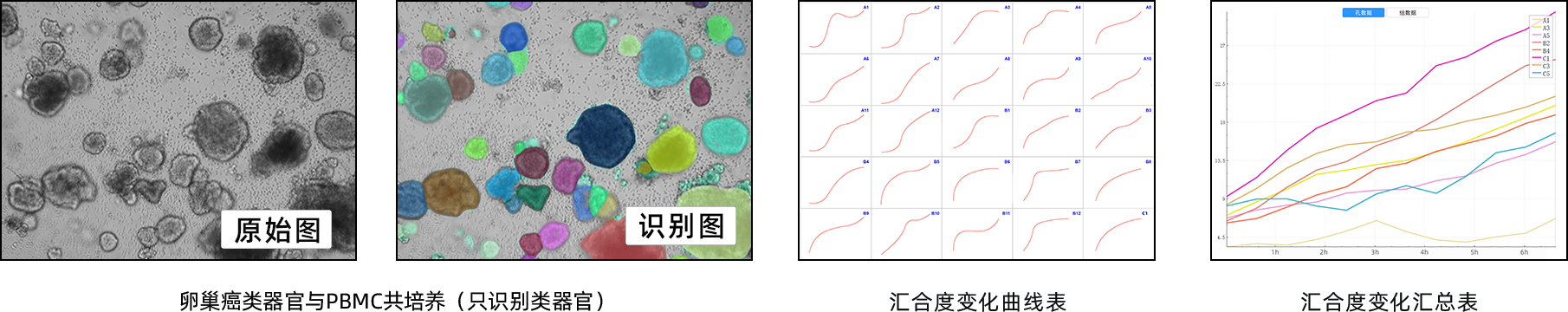 基于圖像法的AI數據分析q.png